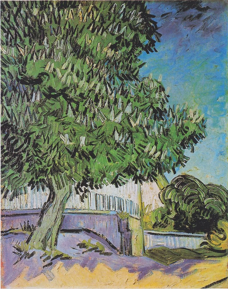 34-Vincent van Gogh-Castagni in fiore - Kröller-Müller Museum, Otterlo  